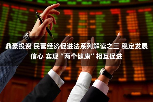 鼎豪投资 民营经济促进法系列解读之三 稳定发展信心 实现“两个健康”相互促进