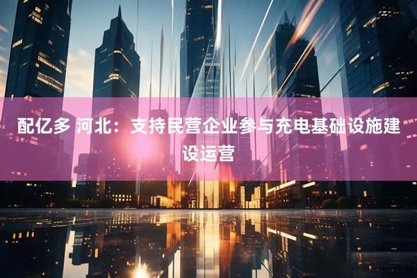 配亿多 河北：支持民营企业参与充电基础设施建设运营