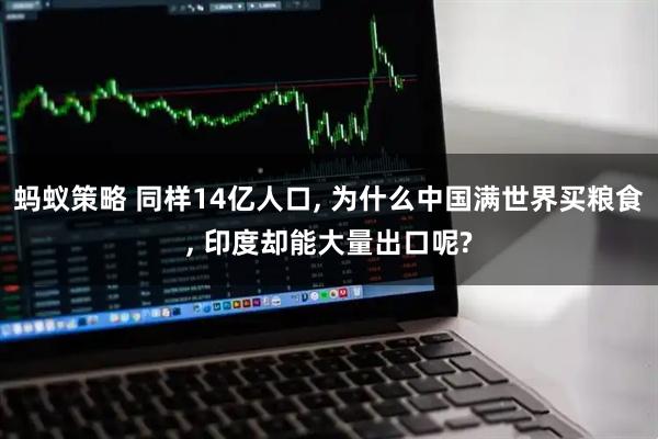 蚂蚁策略 同样14亿人口, 为什么中国满世界买粮食, 印度却能大量出口呢?