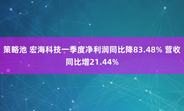 策略池 宏海科技一季度净利润同比降83.48% 营收同比增21.44%
