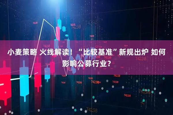 小麦策略 火线解读！“比较基准”新规出炉 如何影响公募行业？